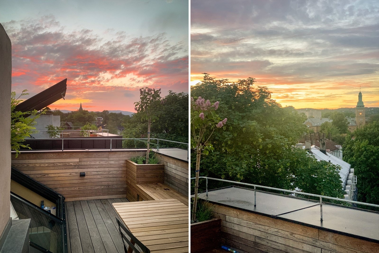 Sommerbilde med magisk lys Galleribilde