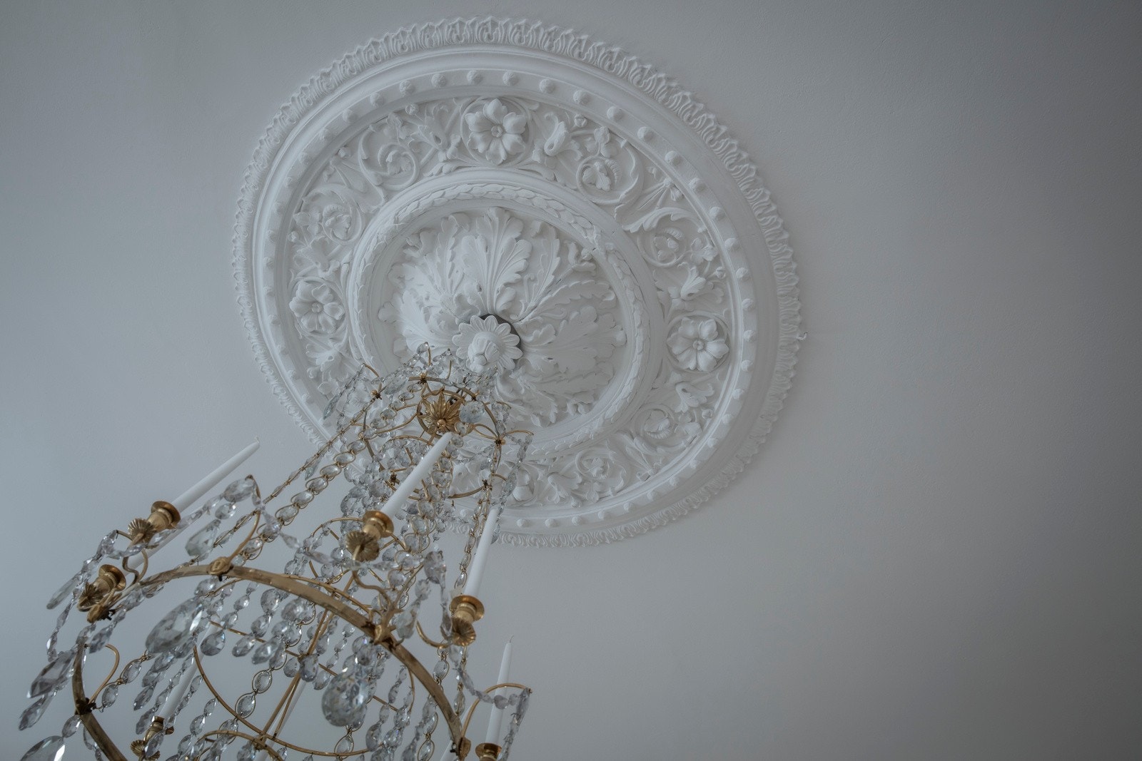 Nydelige klassiske rosetter i seksjonen Galleribilde