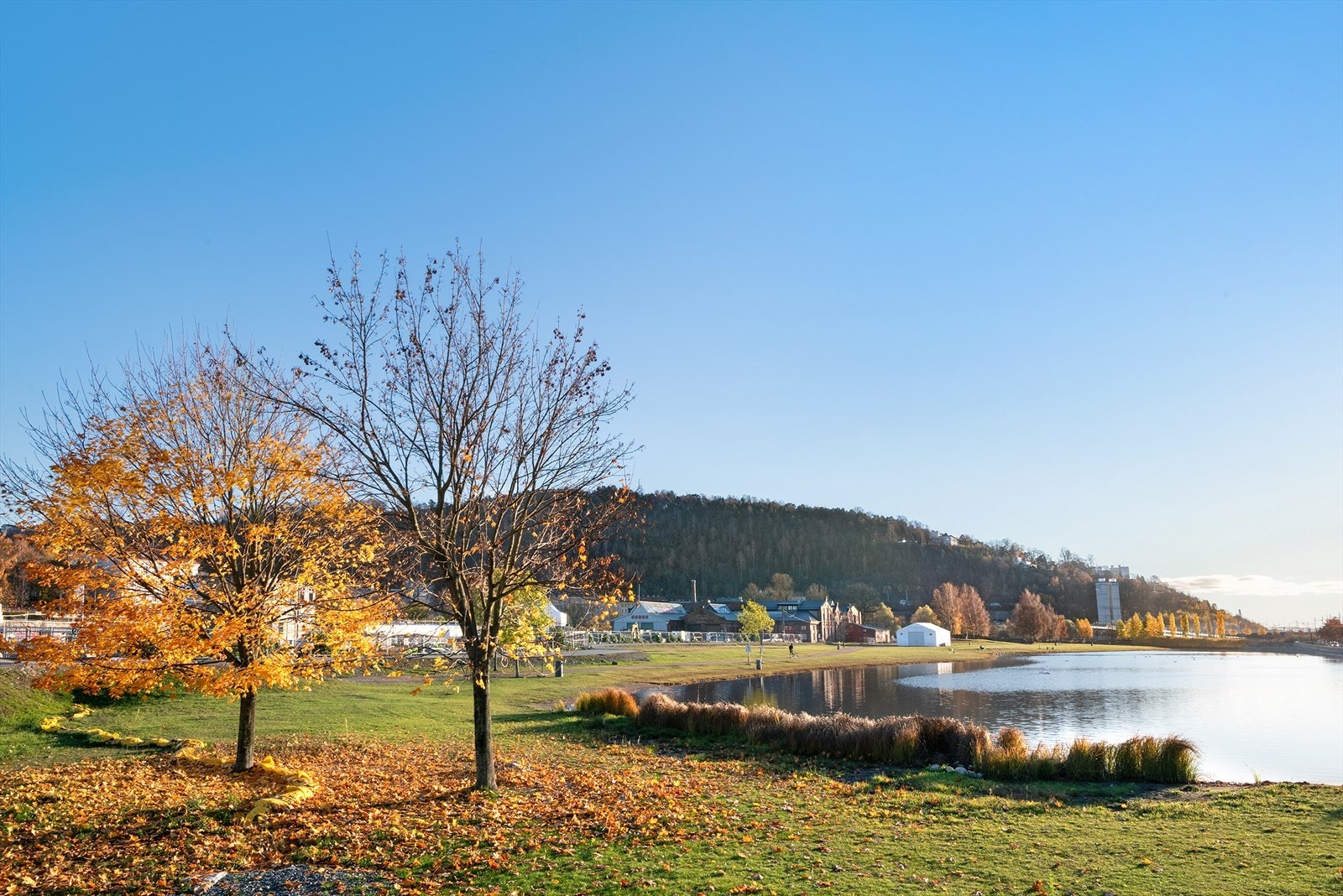 Umiddelbar nærhet til Middelalderparken med vannspeil og gode turmuligheter Galleribilde