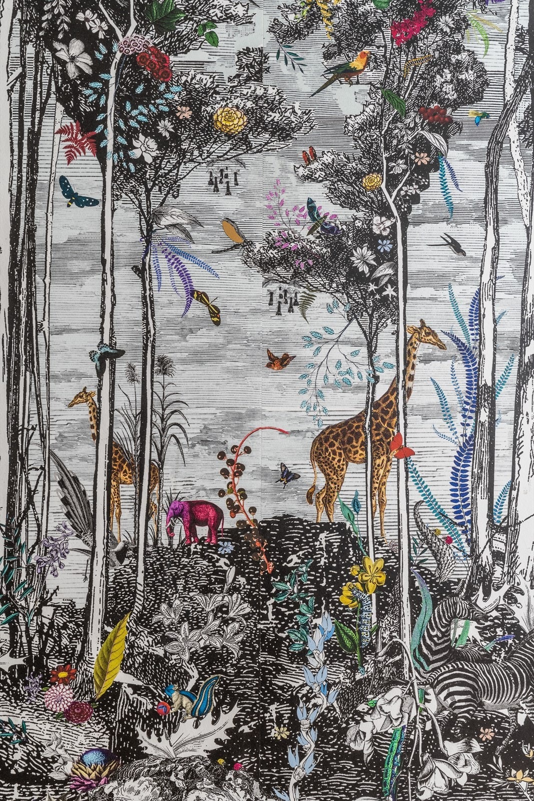 Vakker og unik tapet fra Osborn and Little Galleribilde