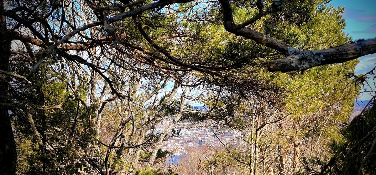 Drømmer du om rimelig fritidsbolig med kort kjøreavstand hjemmefra? På Storsand i Hurum kan drømmen gå i oppfyllelse! Galleribilde