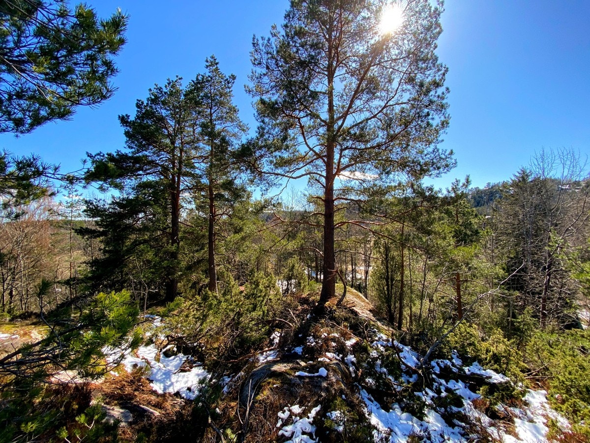 Drømmer du om rimelig fritidsbolig med kort kjøreavstand hjemmefra? På Storsand i Hurum kan drømmen gå i oppfyllelse! Galleribilde