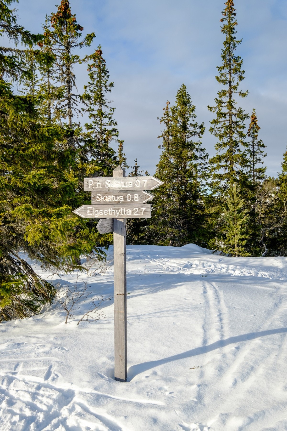 Bymarka byr på en rekke tur- og skiløyper. Galleribilde