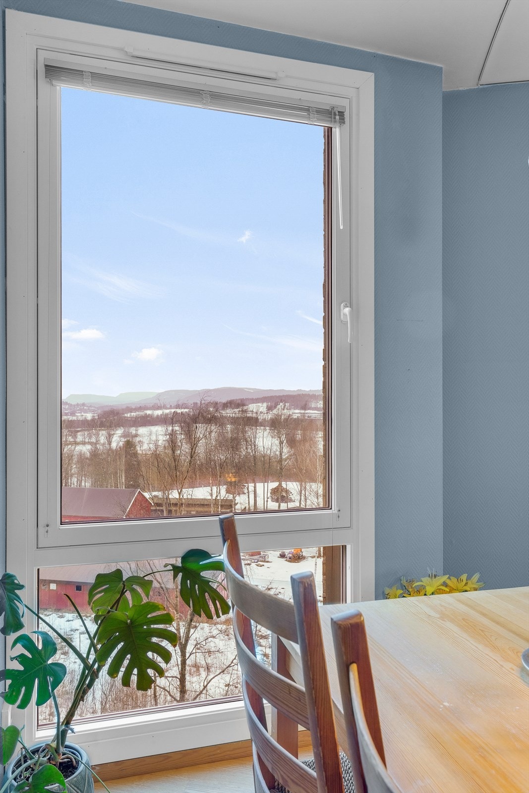 Vindu på kjøkkenet fra gulv/tak med hyggelig utsikt Galleribilde