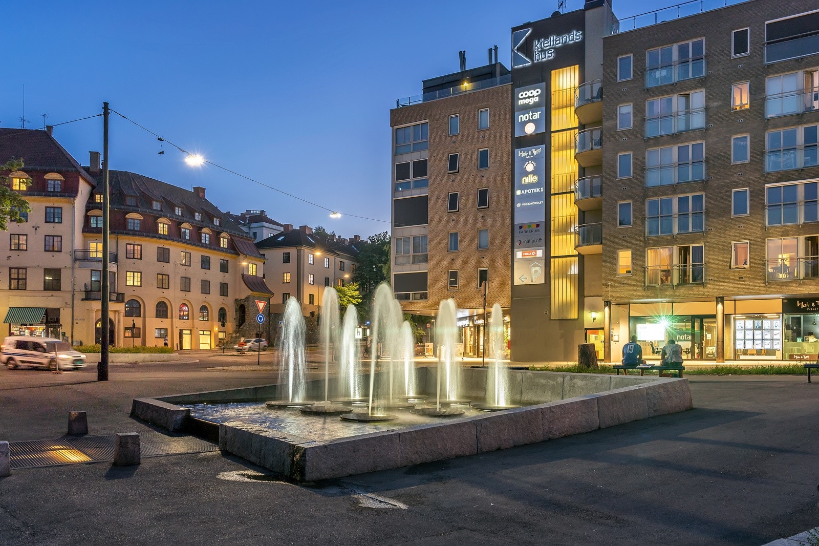 Nærområdet. Galleribilde