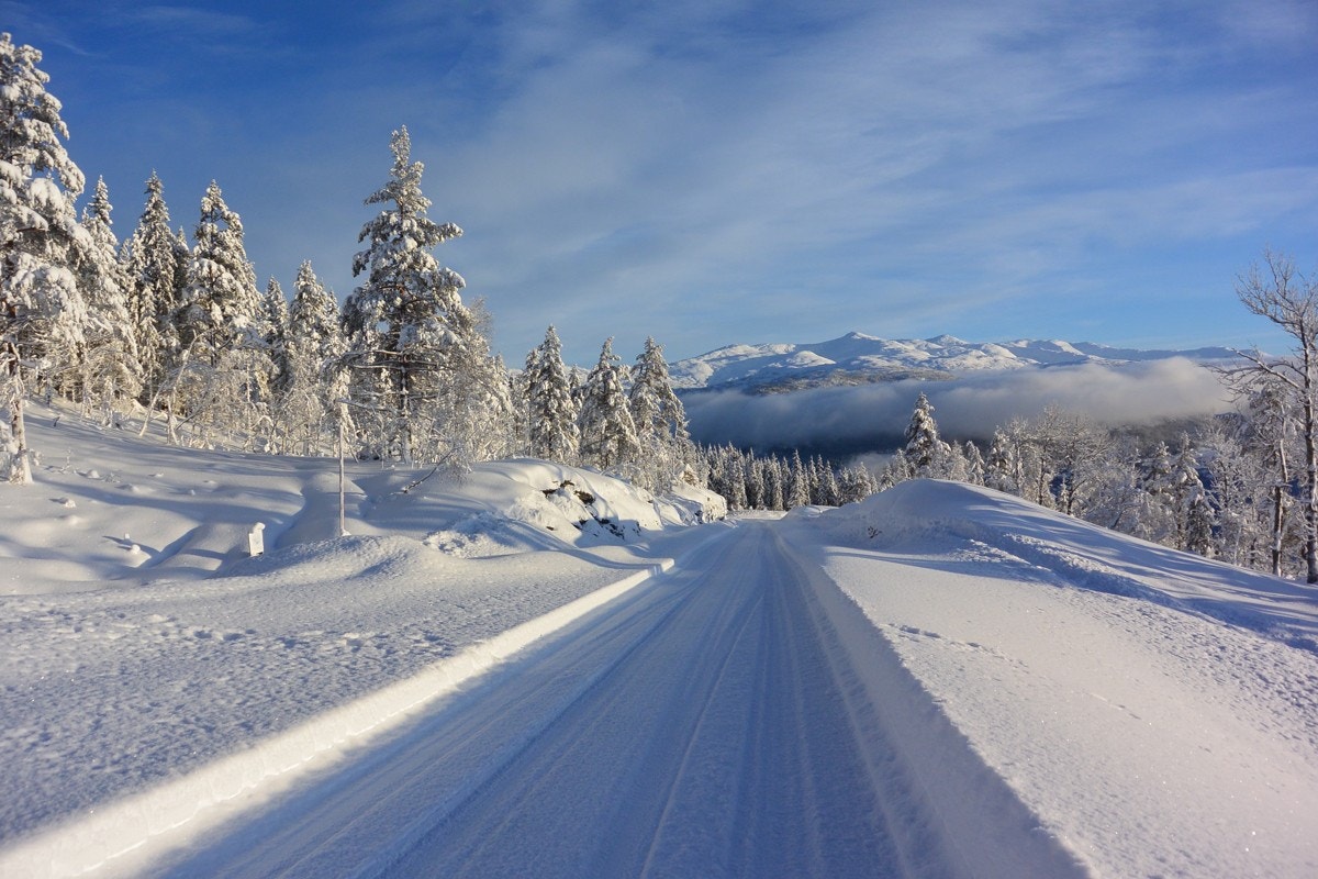 DSC_1586 Galleribilde