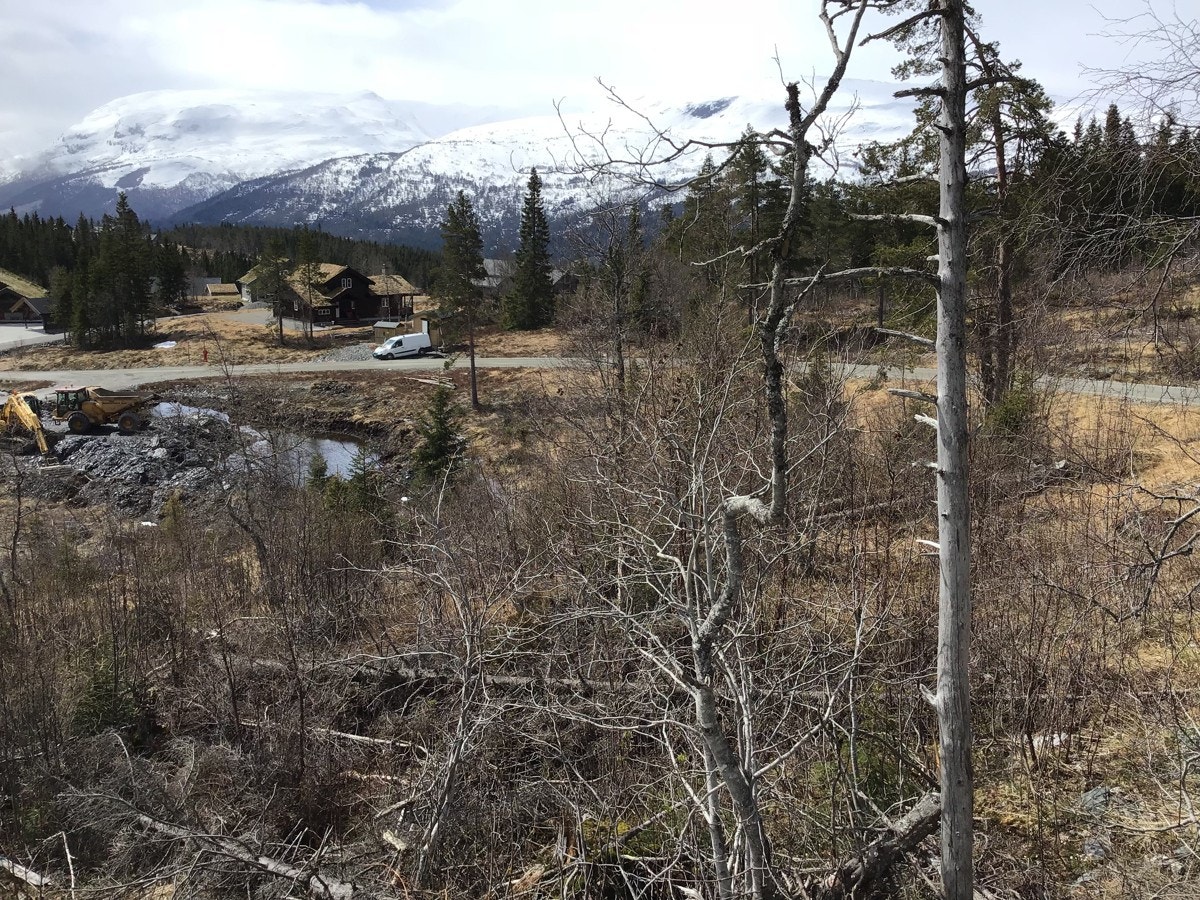 IMG_0673 Galleribilde