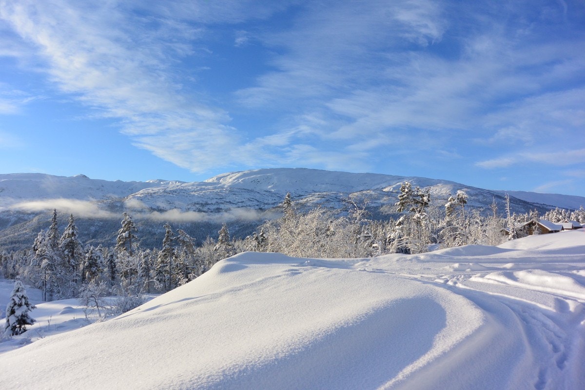 DSC_1597 Galleribilde