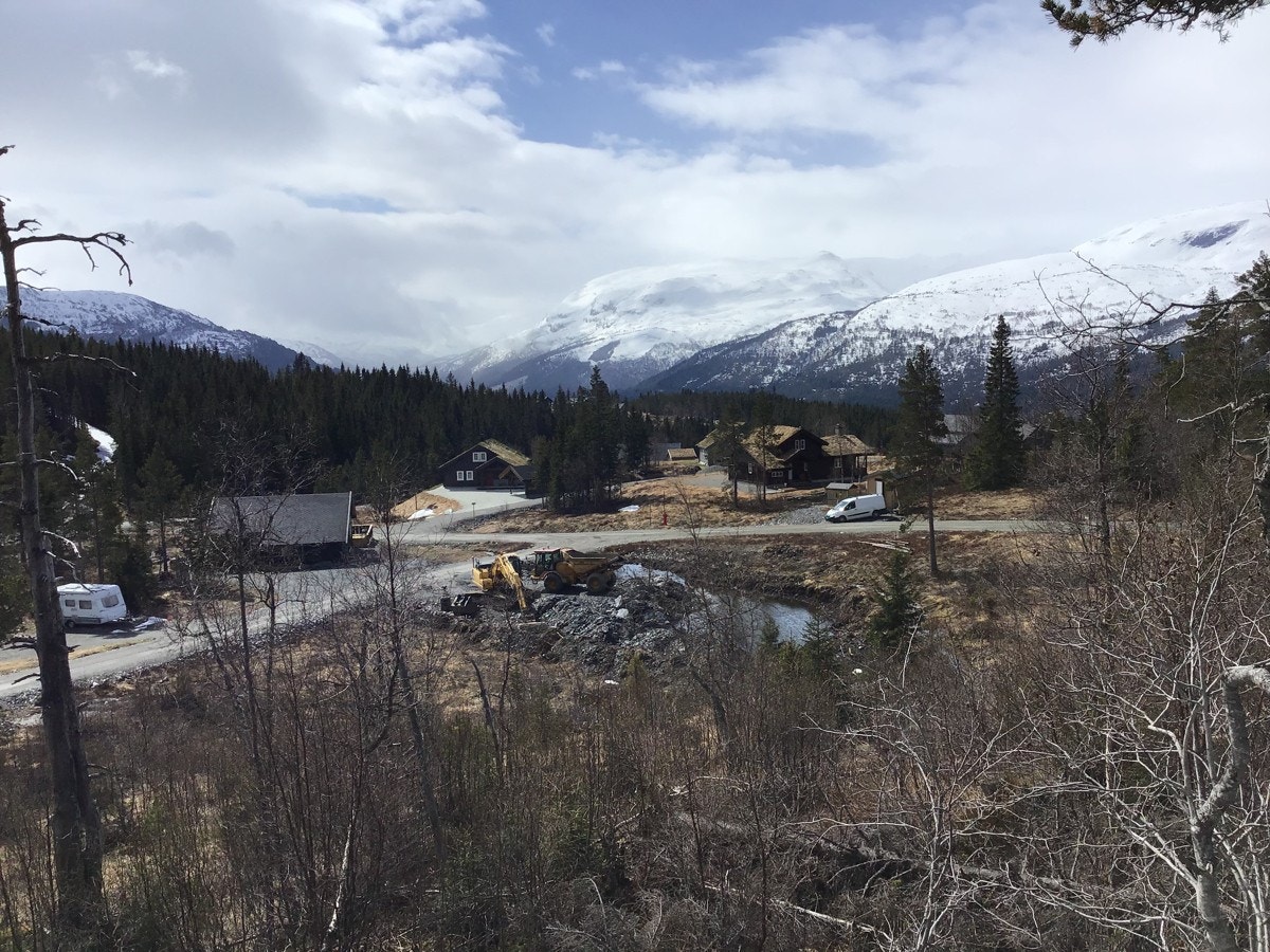 IMG_0671 Galleribilde