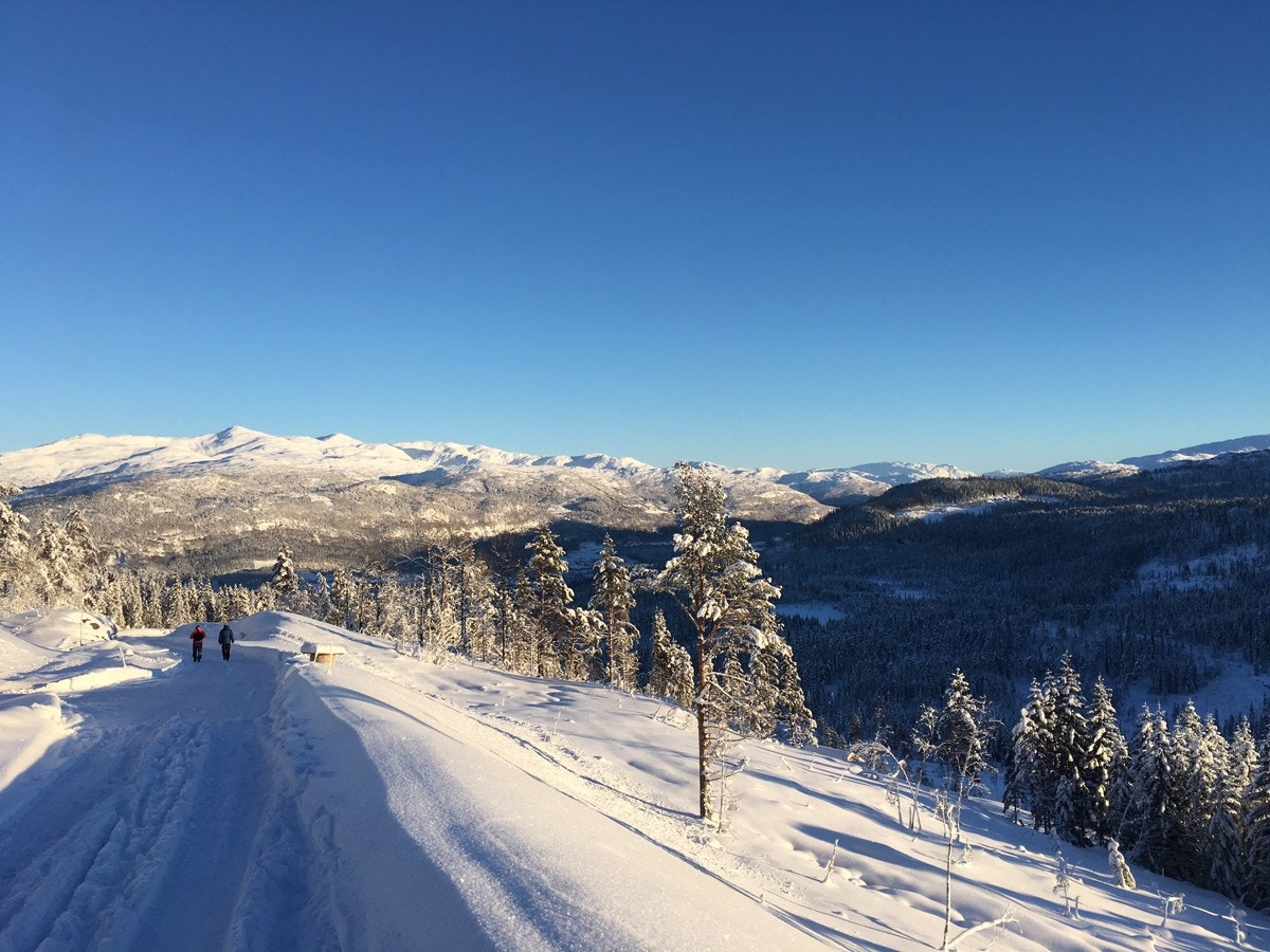 IMG_3138 Galleribilde