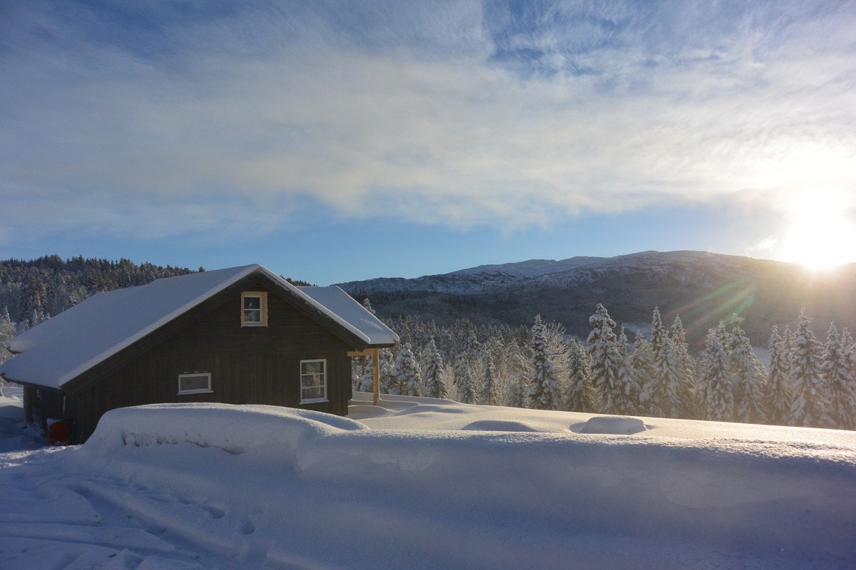 DSC_1591 Galleribilde