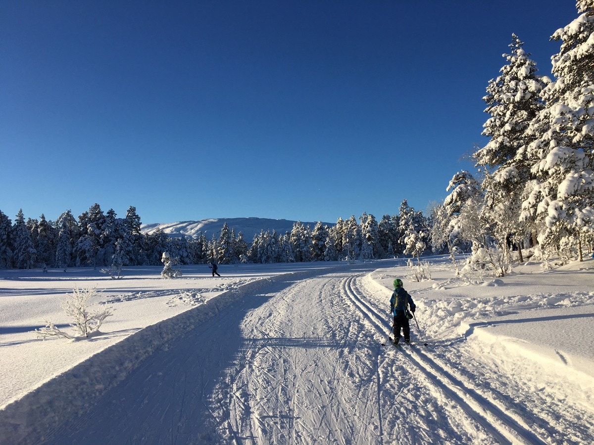 IMG_3118 Galleribilde