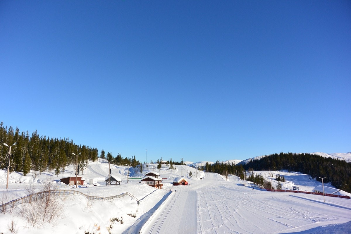 DSC_1924 Galleribilde