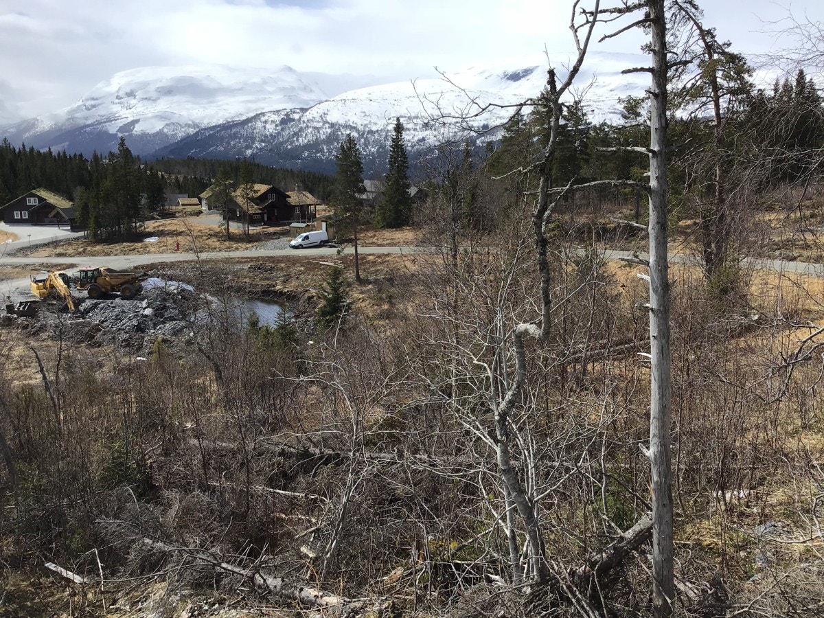 IMG_0670 Galleribilde