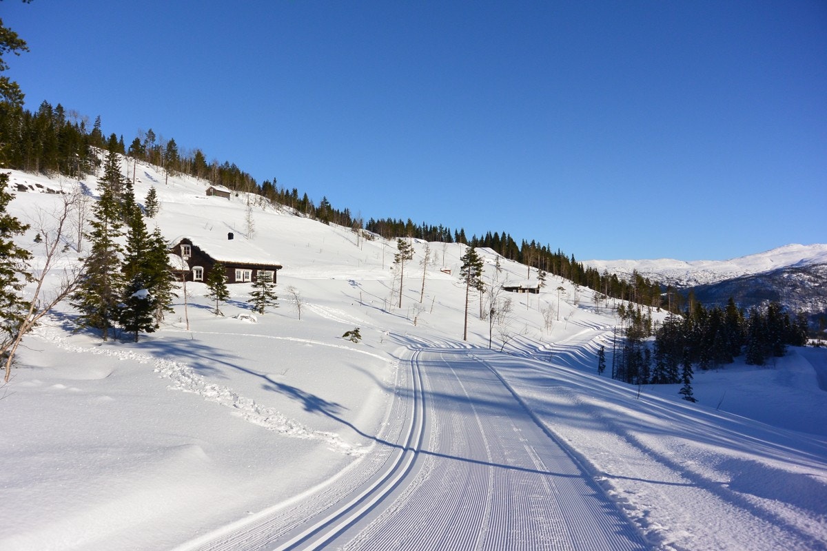 DSC_1977 Galleribilde