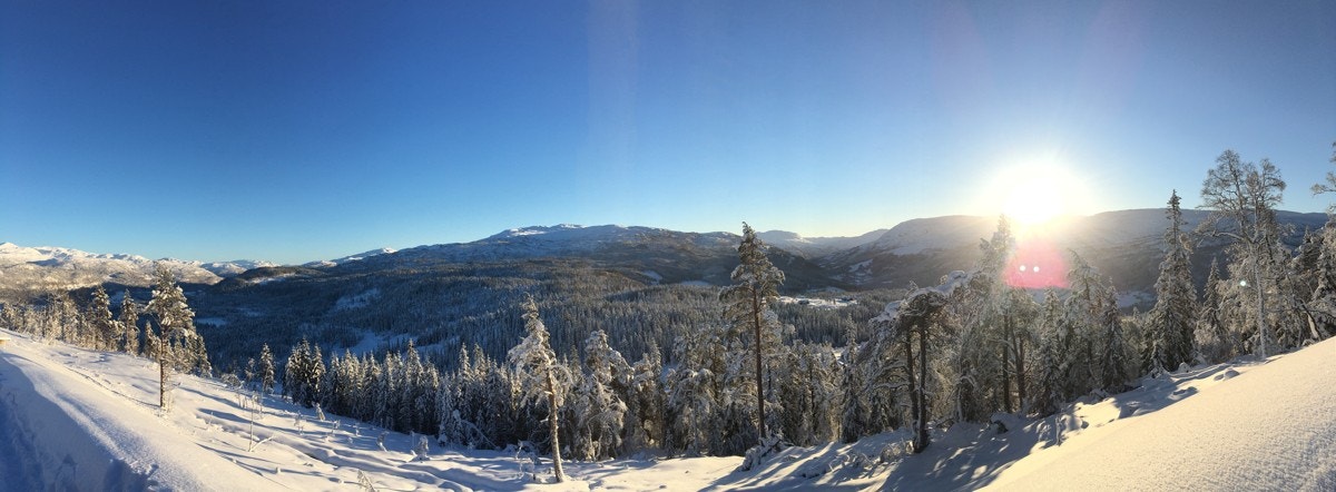 IMG_3135 Galleribilde