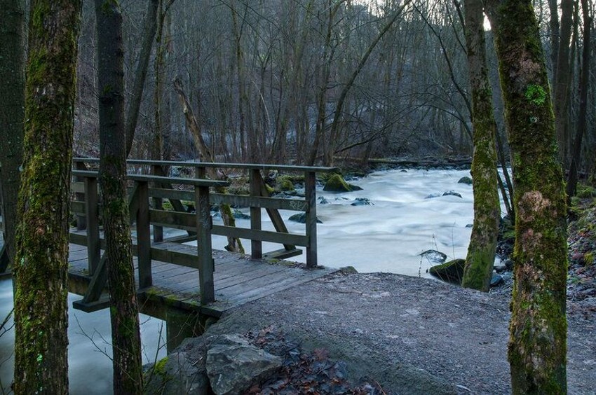 Bilde fra turområdet langs Alnaelva. Galleribilde