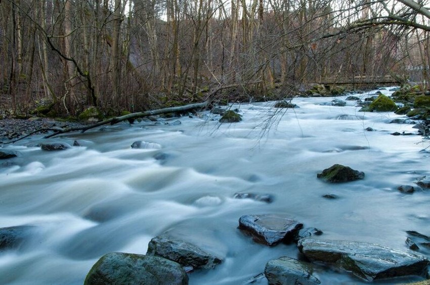 Bilde fra turområdet langs Alnaelva. Galleribilde