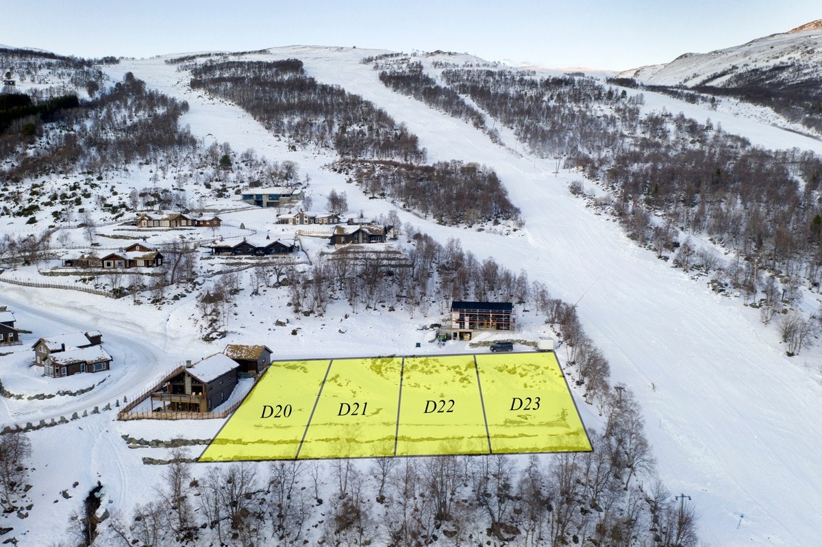 Tomteinndeling Galleribilde