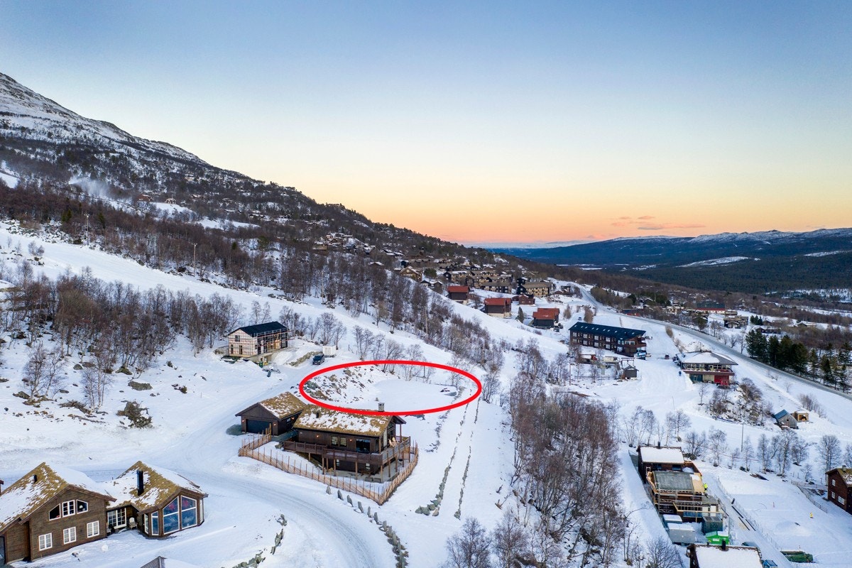 Ekte ski inn/ski ut Galleribilde