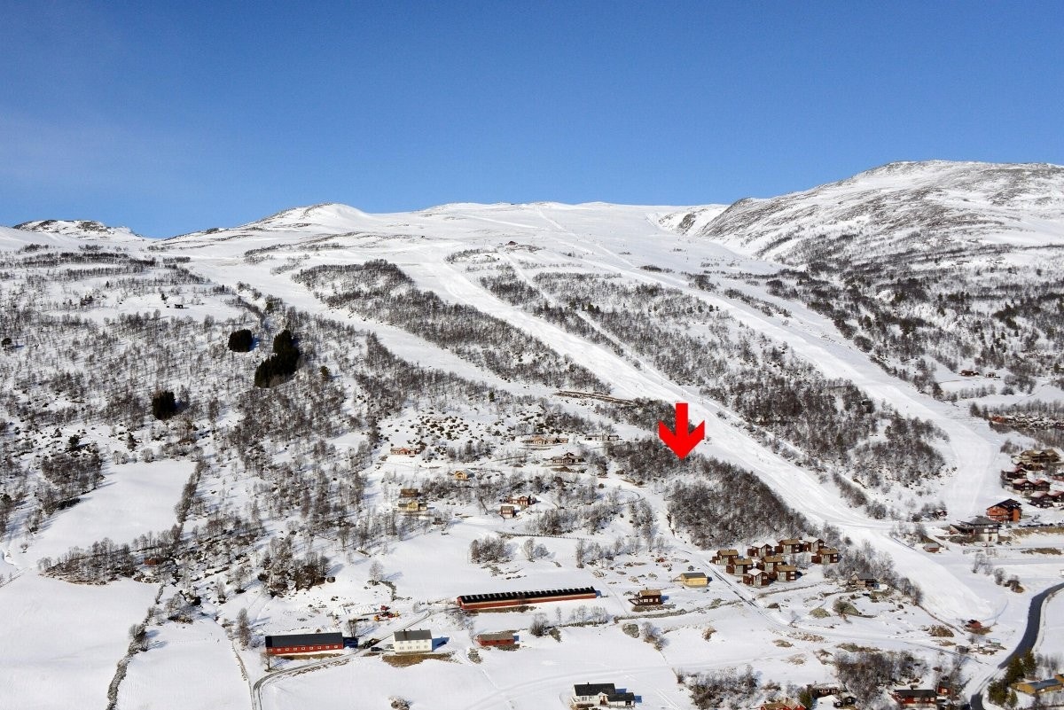 Arkivfoto vinter mot nord Galleribilde