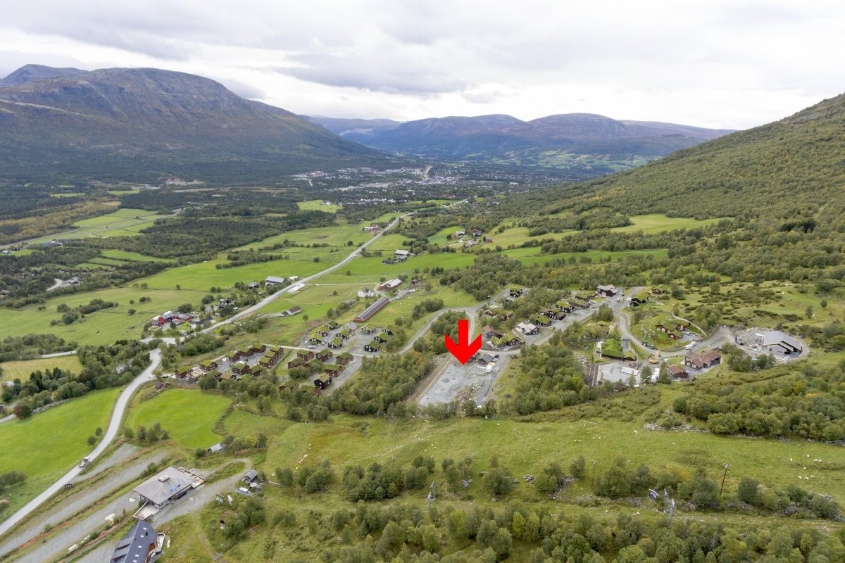 Arkivfoto sommer Galleribilde