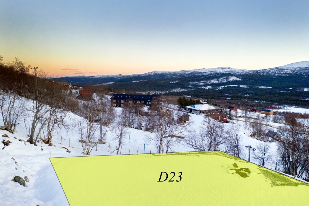 Herfra kan en skli rett inn i bakken med hovedheisen rett fram og barneheisen nede til høyre Galleribilde