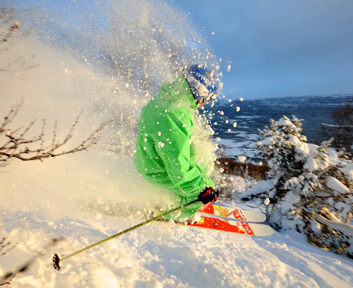 Aktiv Oppdal: ...som god krok skal bli - Pudderkjøring Galleribilde