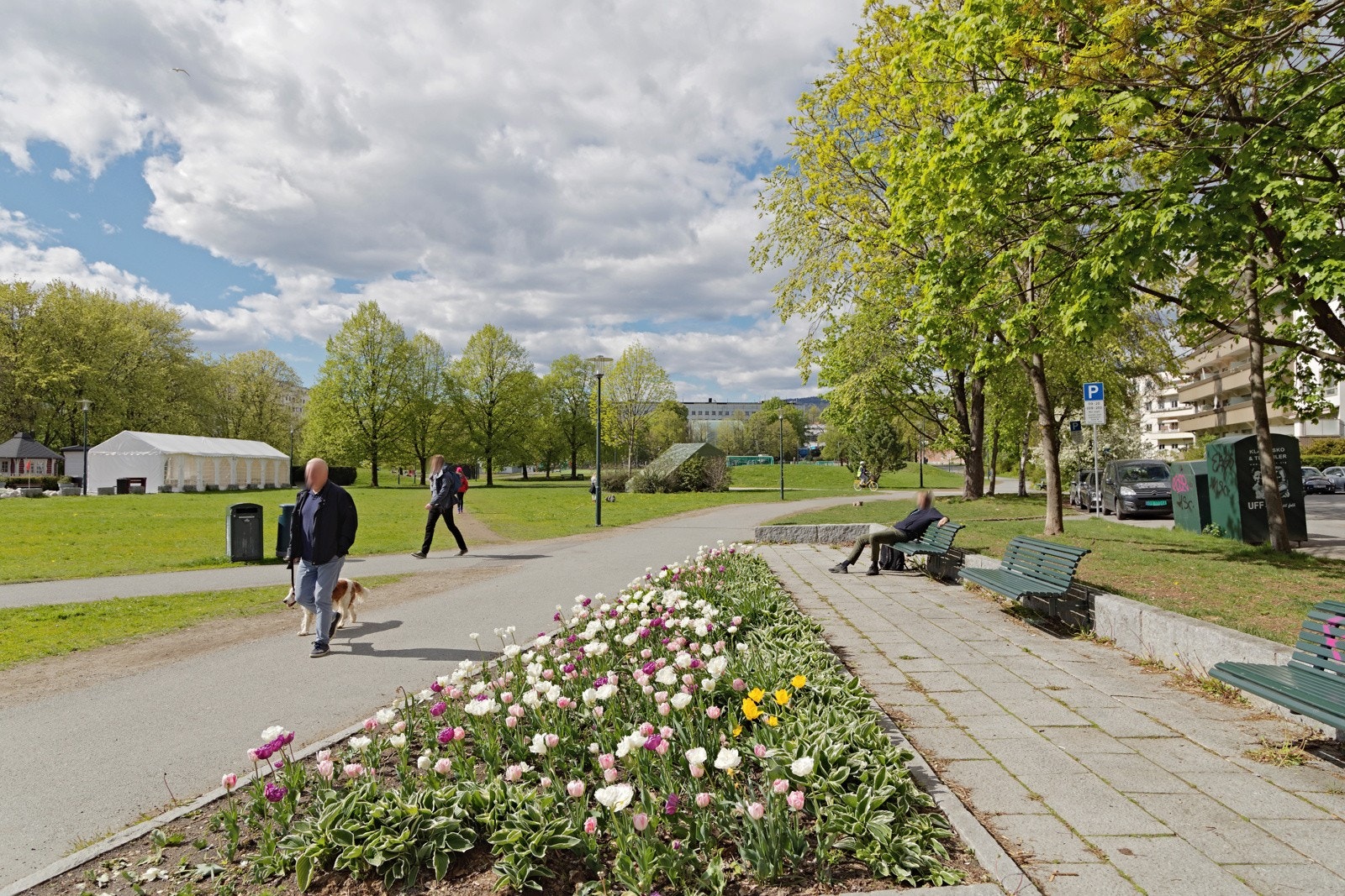 Område Galleribilde