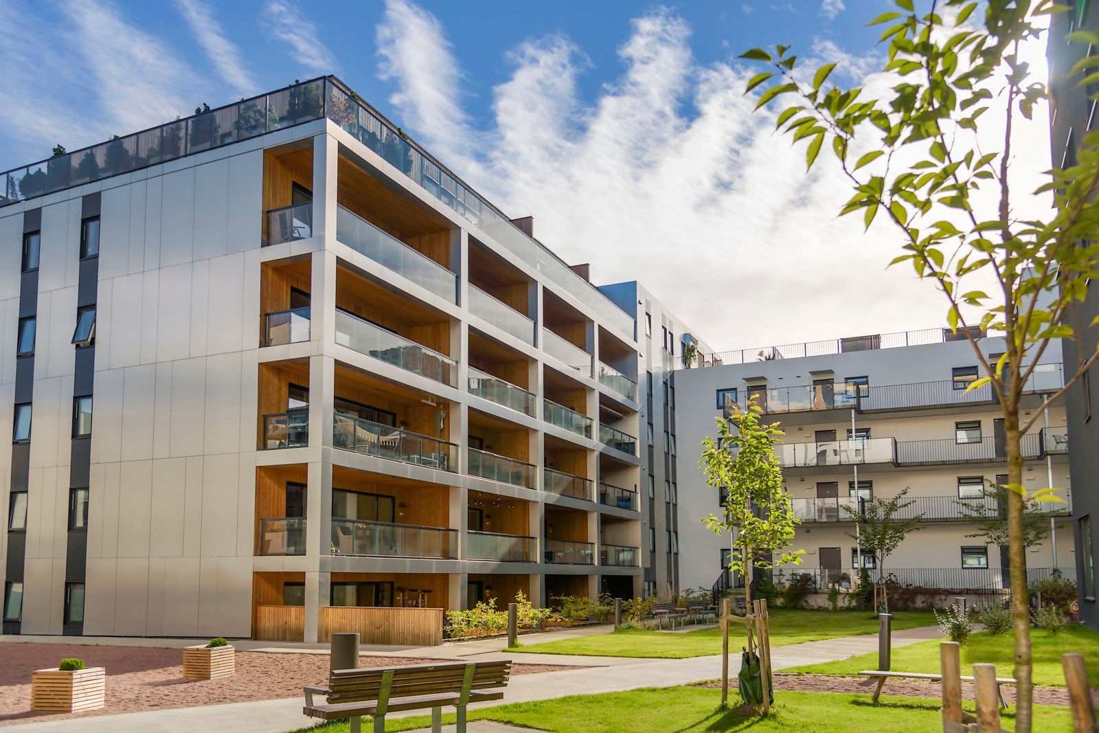 Bakgården på sommerstid Galleribilde