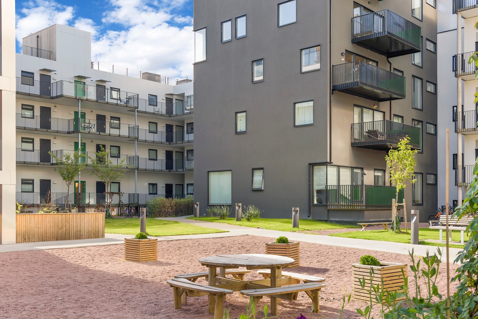 Bakgården på sommerstid Galleribilde