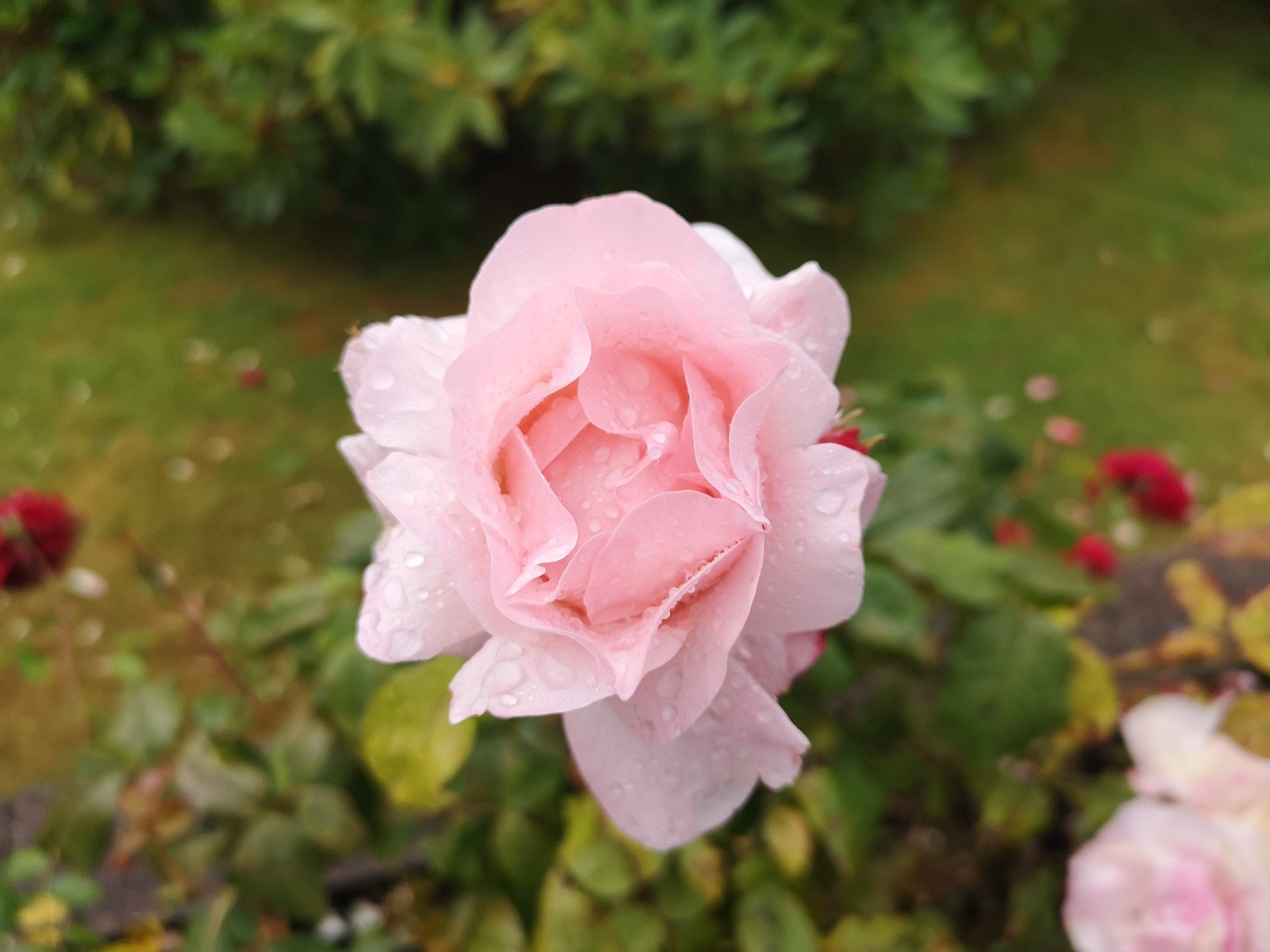 Detaljer. Galleribilde