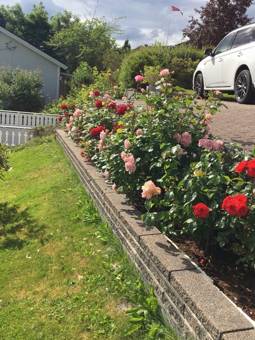 Bilde tatt av selger. Galleribilde