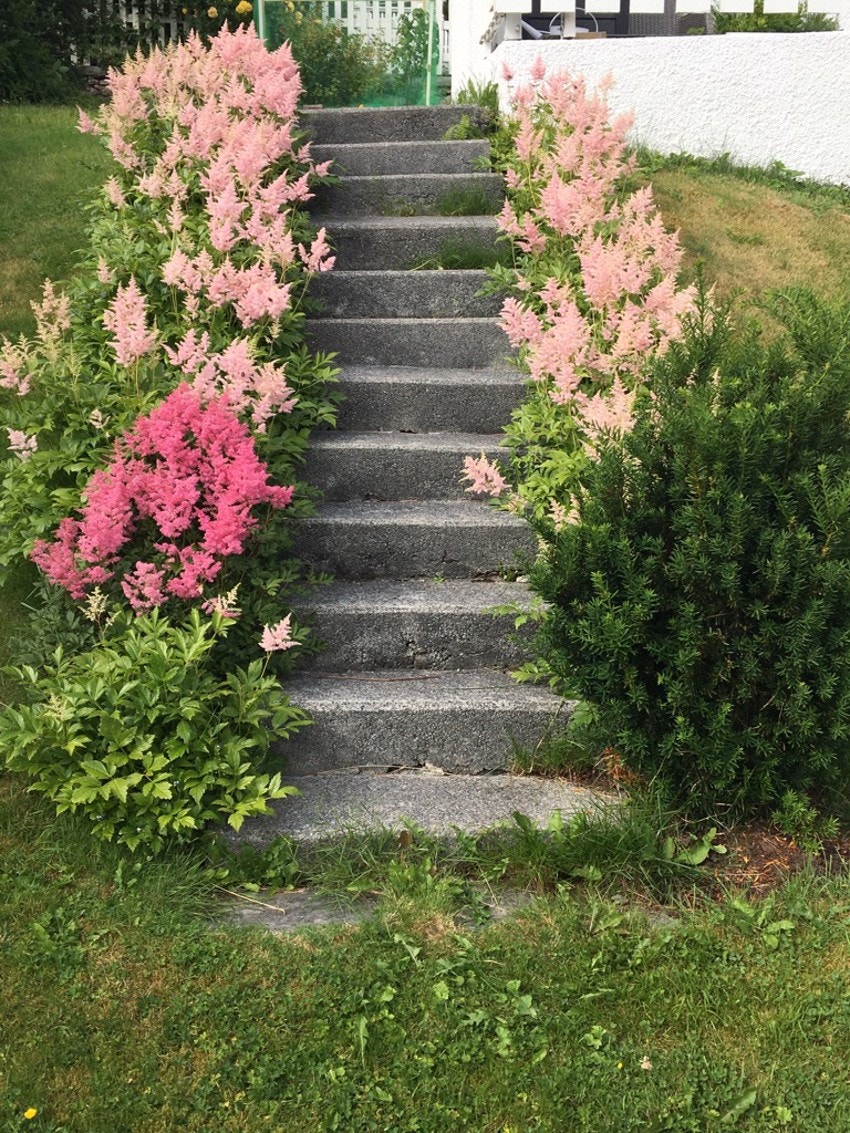 Bilde tatt av selger. Galleribilde