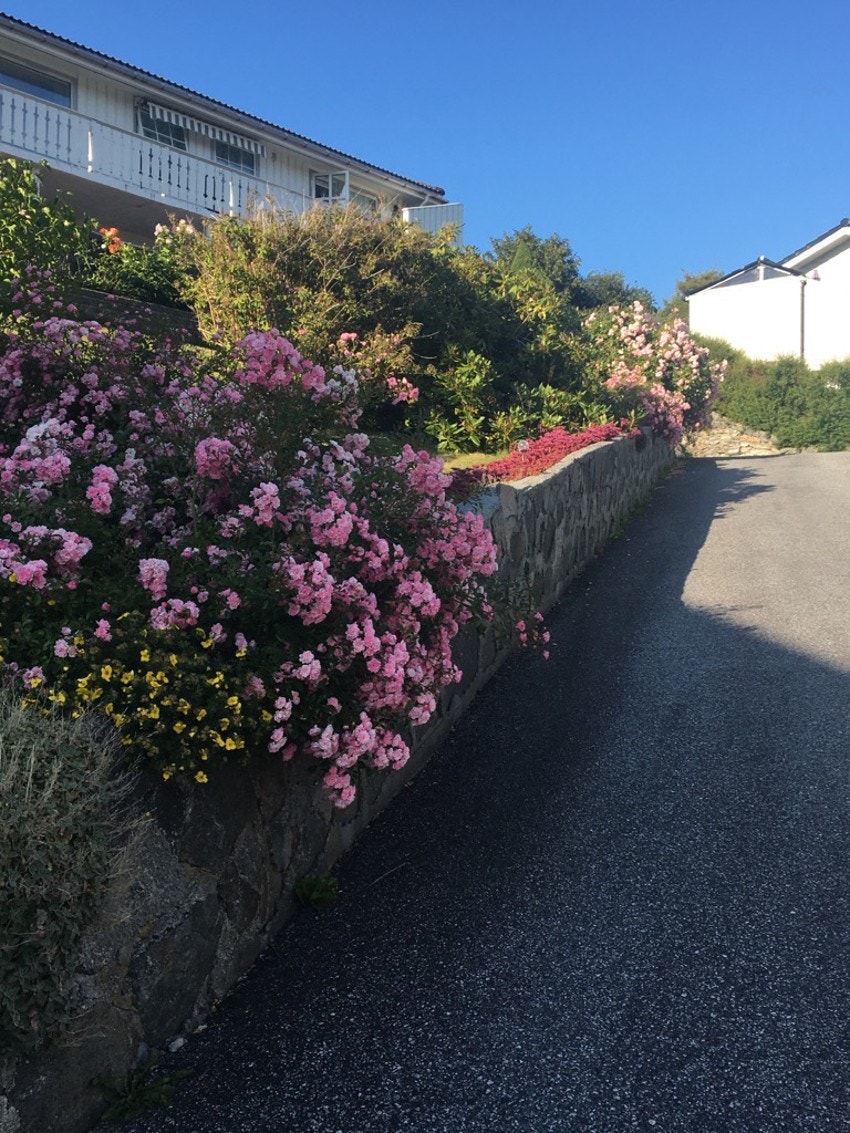 Uteområde. Bilde fra selger. Galleribilde