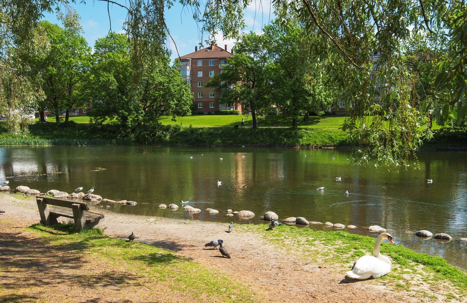 Populært og frodig boligområde på Hovin. Galleribilde