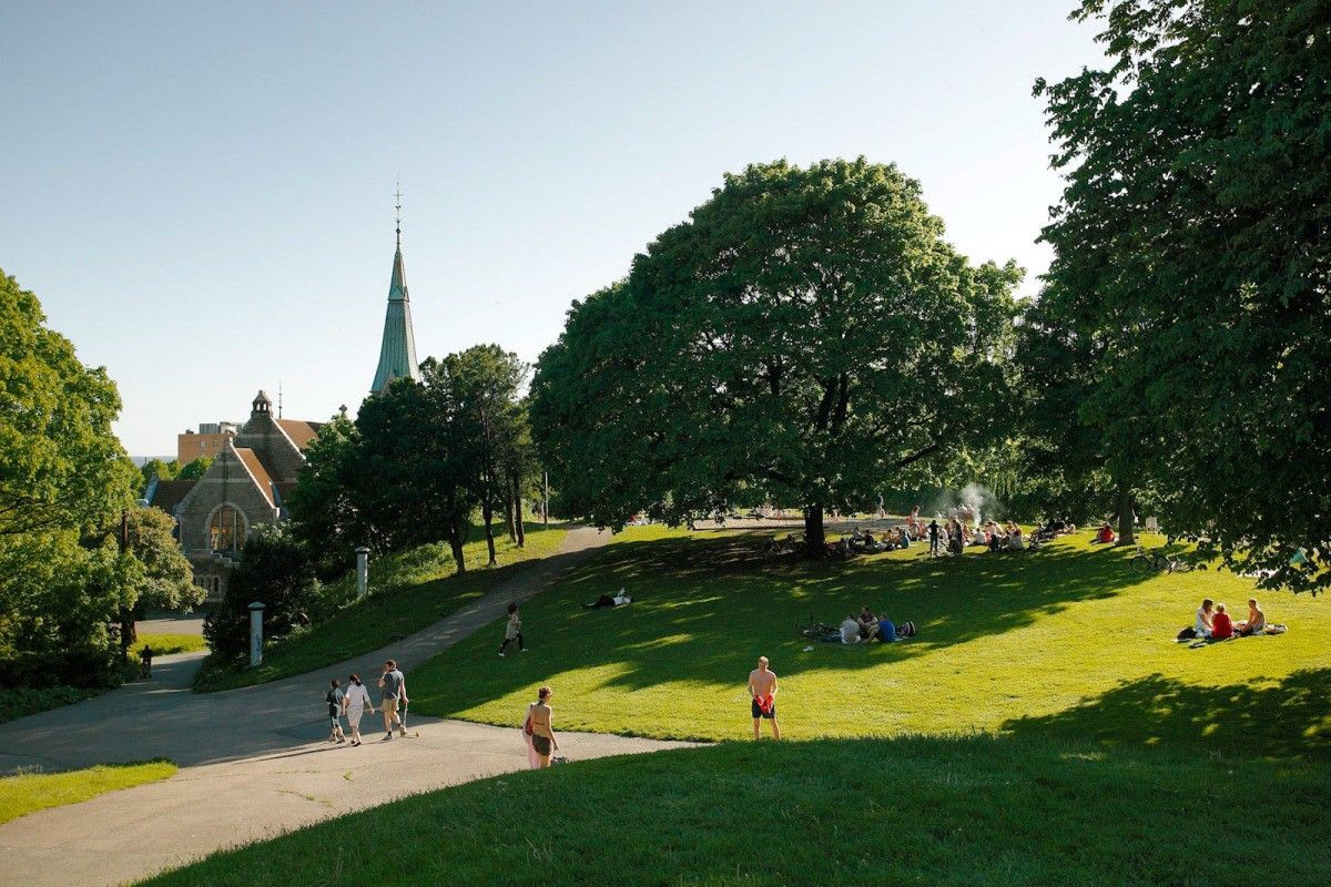 Stensparken Galleribilde