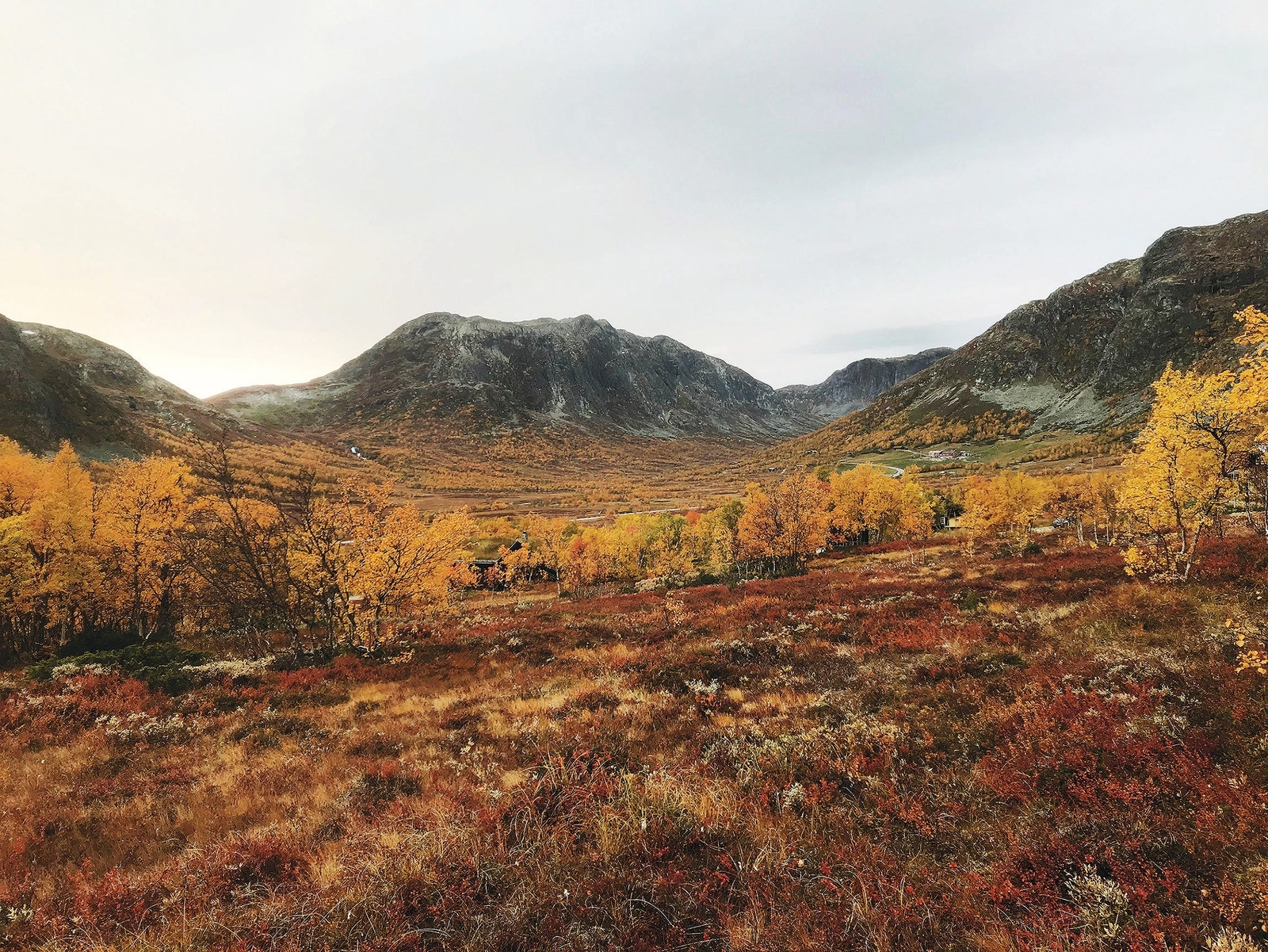 Denne utsikten kan bli din. Galleribilde