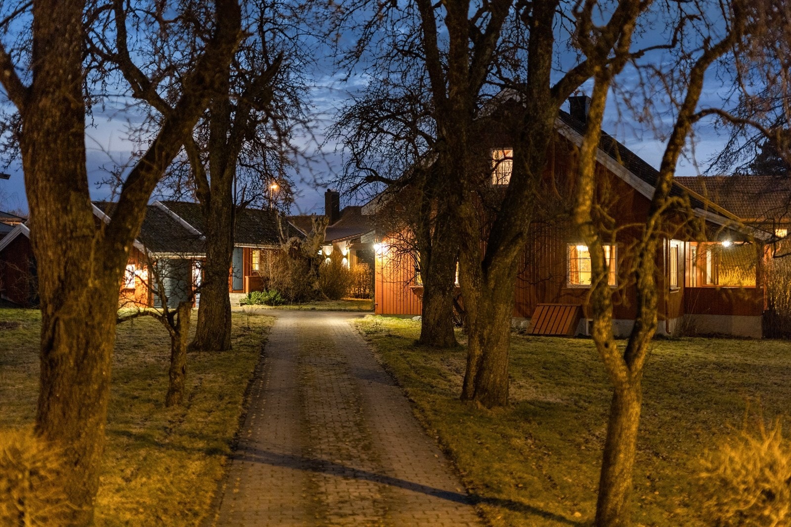 Opprinnelig Grønli hovedgård - en sjelden anledning. Galleribilde