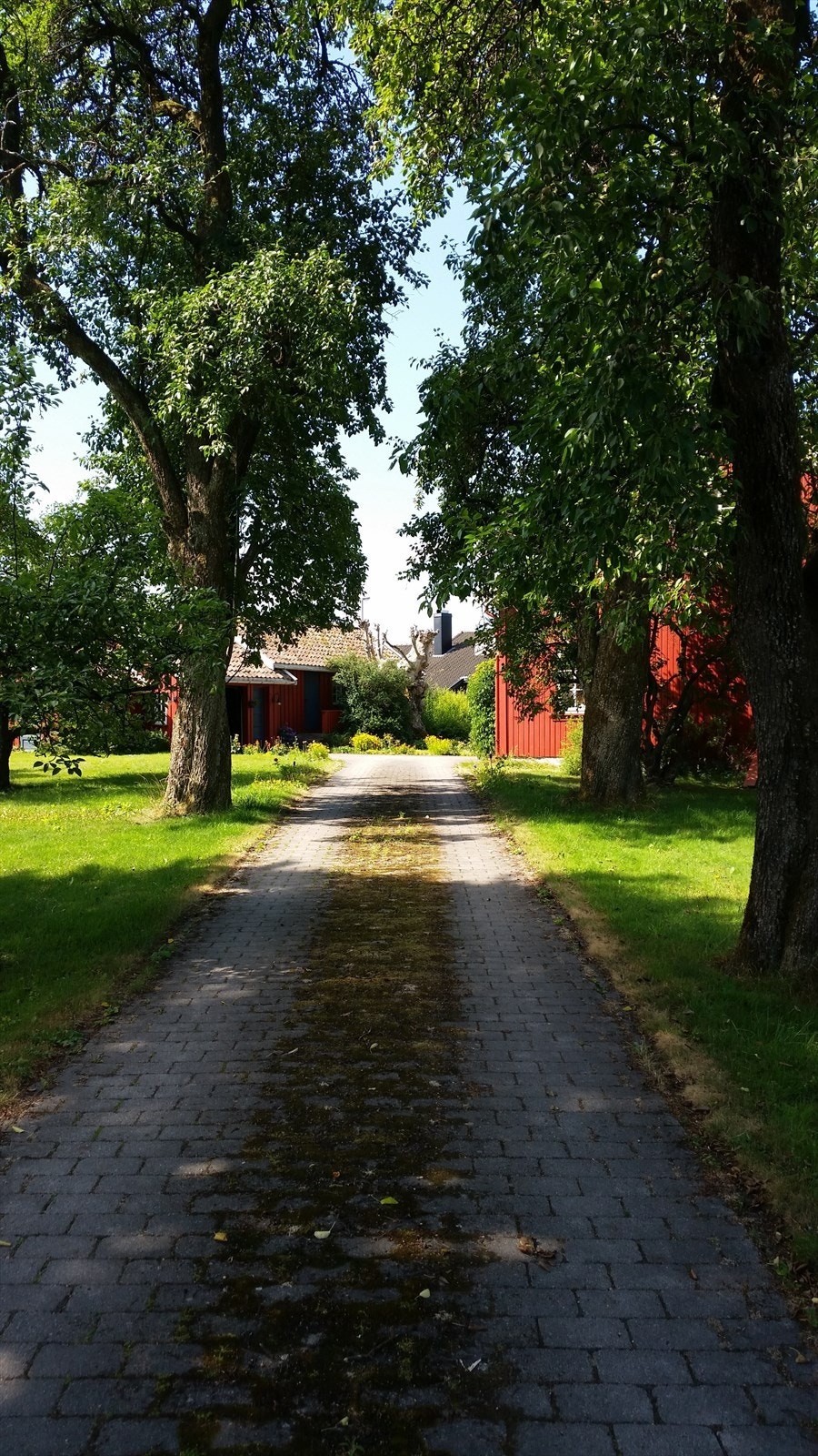 Belegningsstein i innkjørsel. Galleribilde