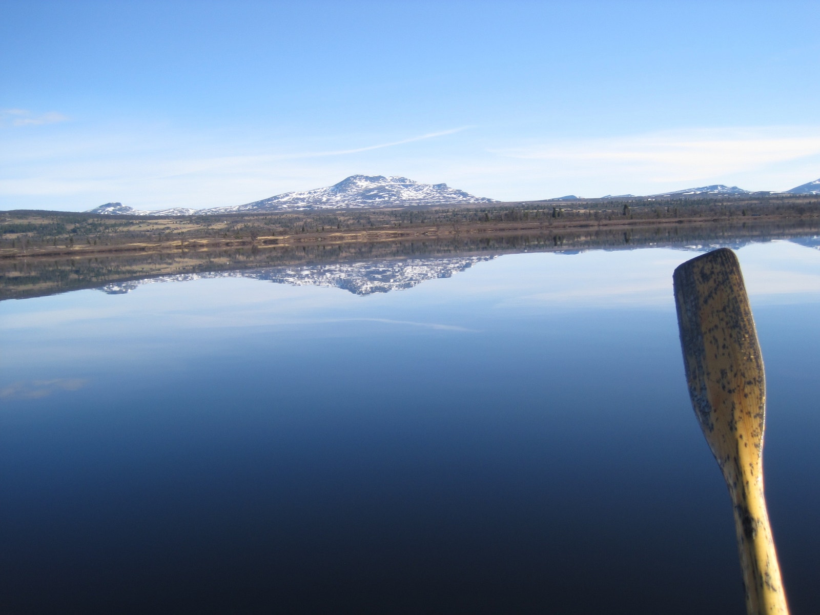 Storeskag sett fra Yddevann Galleribilde