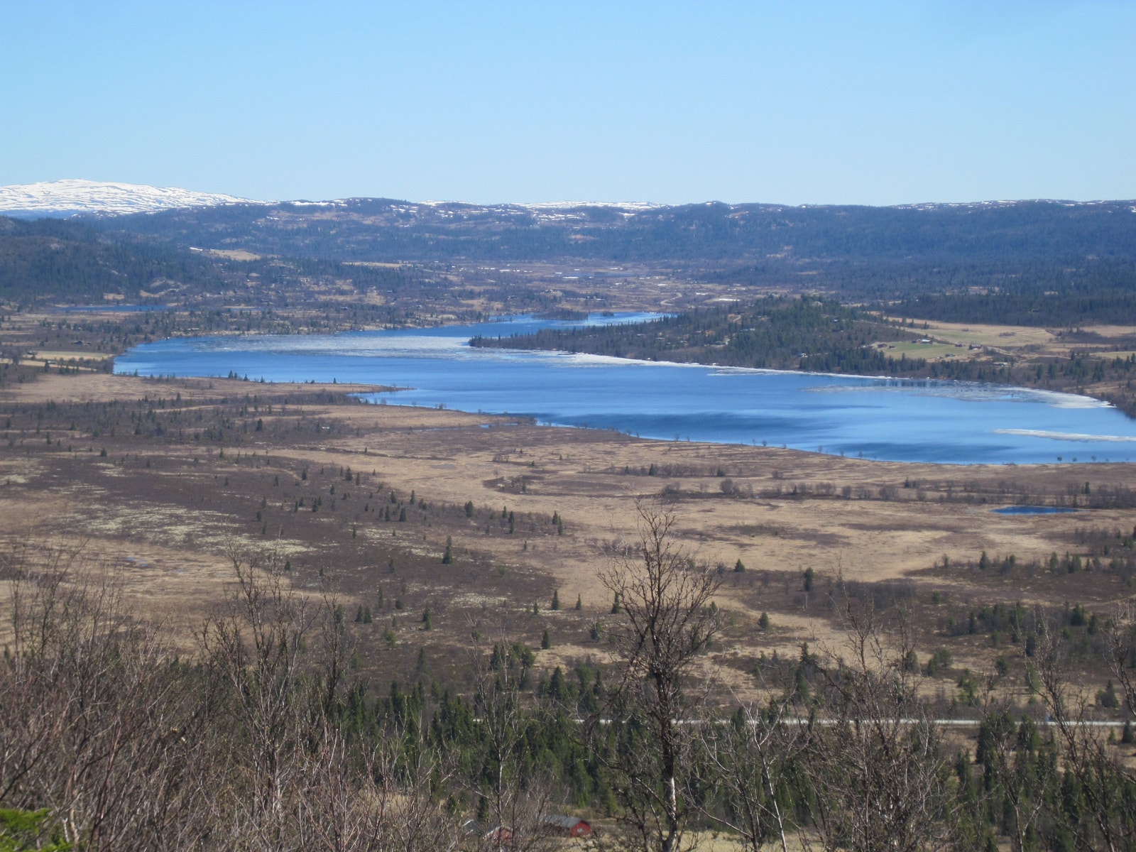 Yddevann Galleribilde