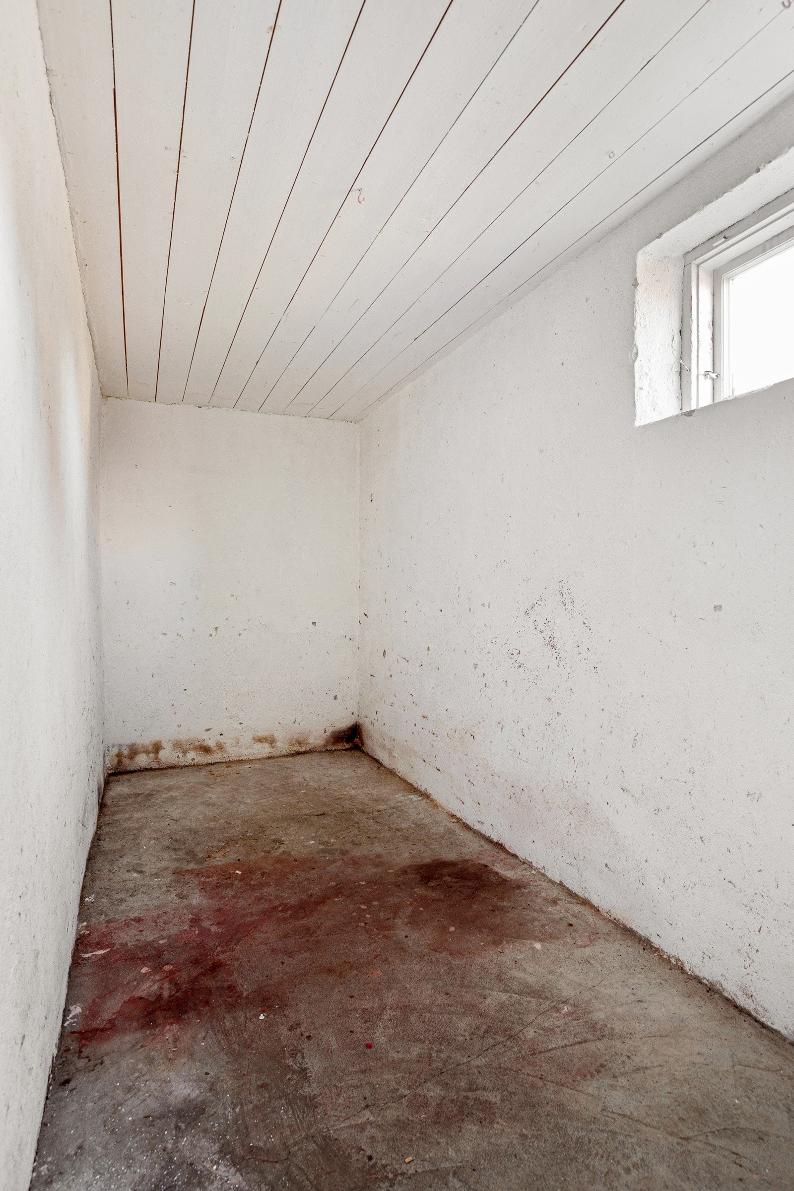 Bod kjeller. Galleribilde