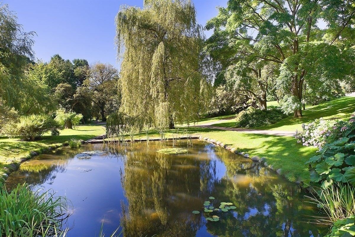 Områdebilde Galleribilde