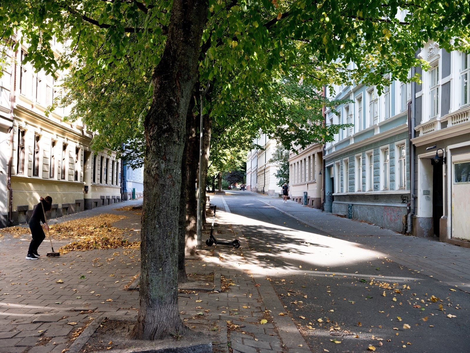 Områdebilde Galleribilde