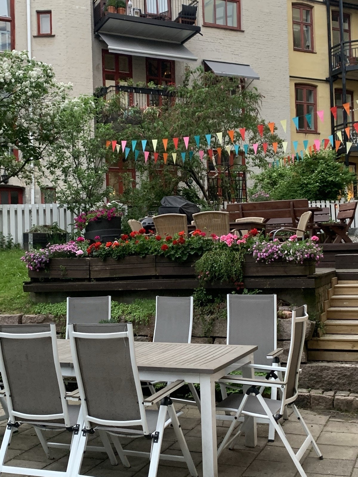 Privat bilde av bakgården sommer Galleribilde