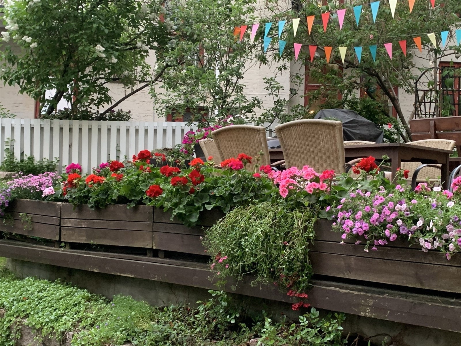 Privat bilde av bakgården sommer Galleribilde