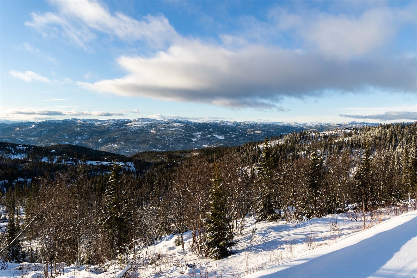 Er du glad i å gå på ski, er Tempelseter Panorama ditt paradis med hele 450km oppkjørte løyper. Det er bare å spenne på seg skiene og nyte høyfjells naturen i fulle drag Galleribilde