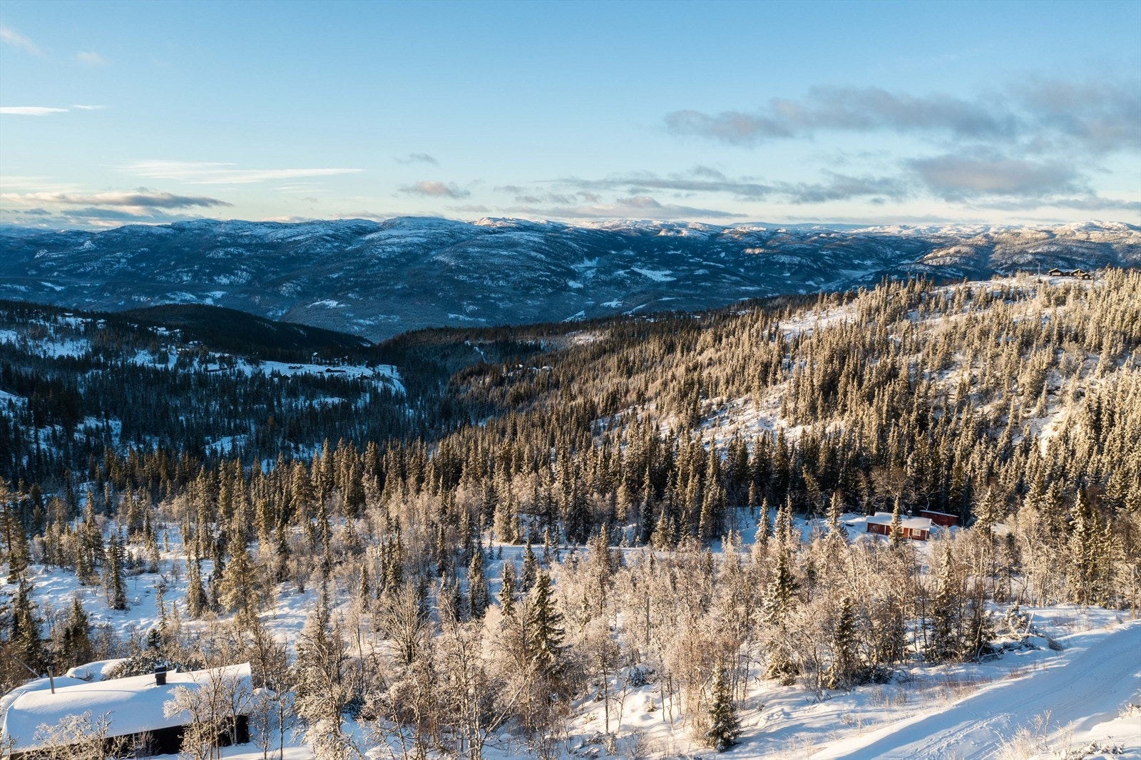 Hyttefeltet ligger sentral til på Tempelseter, med maskinpreparerte løyper rett ved. Galleribilde