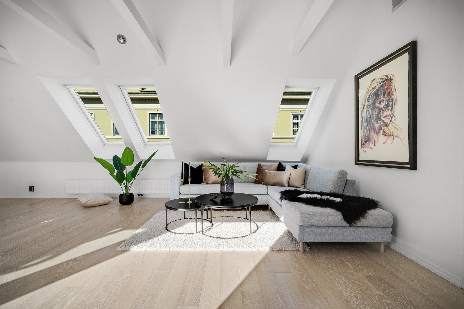 Takvinduene i tillegg til døren til terrassen bidrar til mye naturlig lys i leiligheten Galleribilde